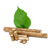 burdock root