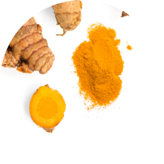 Turmeric
        Root Extract