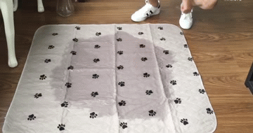 Image result for reusable dog pad gif
