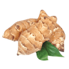 Inulin starch