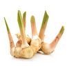 EnXtra (blue ginger)
