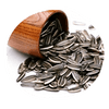 sunflower lecithin booster